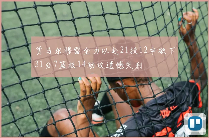 贾马尔穆雷全力以赴21投12中砍下31分7篮板14助攻遗憾失利
